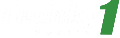 Techky1 Hosting